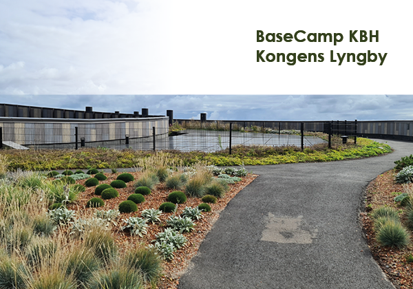 Basecamp Kgs. Lyngby